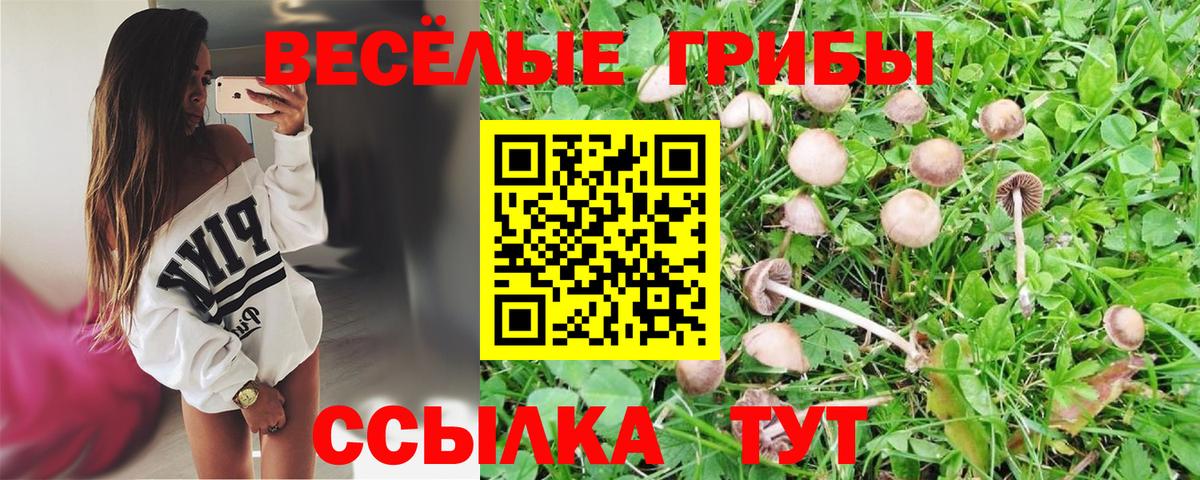 Псилоцибиновые грибы мухоморы  Галлюциногенные грибы Magic Shrooms  Самара  Вход с VPN 
