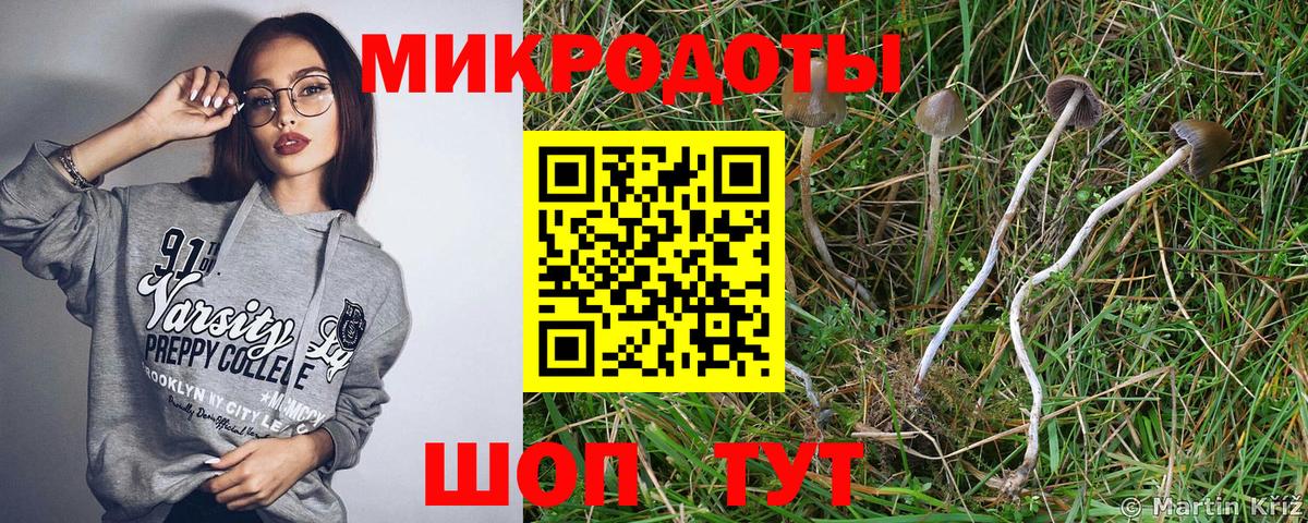Галлюциногенные грибы прущие грибы Самара